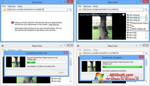 Captura de pantalla MassTube para Windows 10