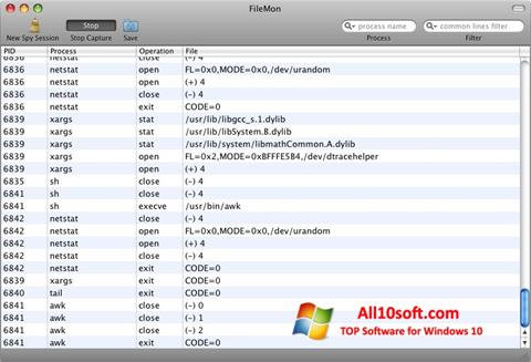 Captura de pantalla FileMon para Windows 10