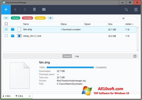 Captura de pantalla Free Download Manager para Windows 10