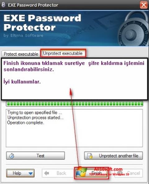 Captura de pantalla EXE Password para Windows 10
