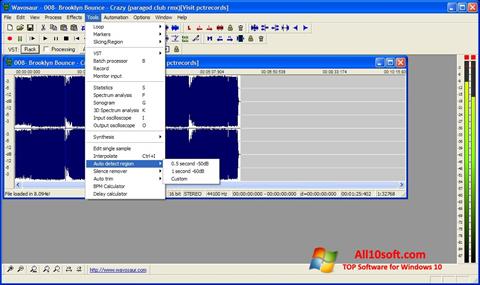 Captura de pantalla Wavosaur para Windows 10
