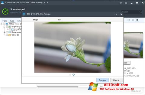 Captura de pantalla USB Flash Drive Recovery para Windows 10