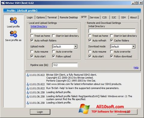 Captura de pantalla Bitvise SSH Client para Windows 10