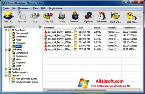 Captura de pantalla Internet Download Manager para Windows 10
