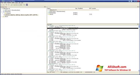 Captura de pantalla DMDE para Windows 10